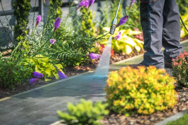 Spring Cleaning in Puyallup, WA